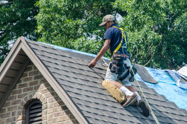Best Roof Maintenance Services  in Rockville, IN